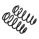 Coil Spring Set (2630) 2