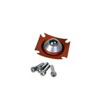 Repair Kit, Diaphragm, 11202-2