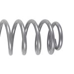 Coil Spring 4 in./5.5 in. Lift Front Pair (RE1345) 2