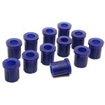 Rear Leaf Spring Bushing Kit (SPF2231AK) 2