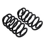 Coil Spring Set (2996) 2