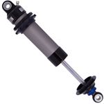 ASM Series Shock Absorber 2