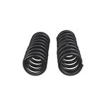 Front Coil Spring Set (4006) 4