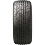 P245/60R14 98S RADIAL T/A RWL (87449) 2