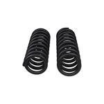 Front Coil Spring Set (4011) 4