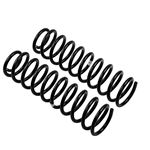 Coil Spring Set (3155) 2