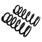 Coil Spring Set (2754) 2