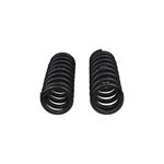 Front Coil Spring Set (4024) 4