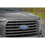 LED Marker Kit 15-17 Ford F-150 Rough Country 4
