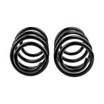 Coil Spring Set (2731) 4