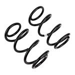 Coil Spring Set (2731) 2