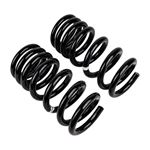 Coil Spring Set (2995) 2