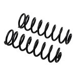 Coil Spring Set (2643) 2