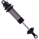 ASM Series Shock Absorber 2