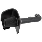 Performance Air Intake System (30-3082) 2