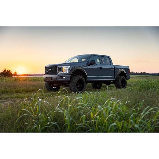 Fender Flares Defender YZ Oxford White Ford F-150 2WD/4WD (2015-2020) (A-F11811-YZ) 2