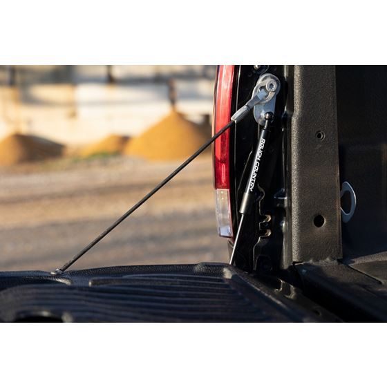 Tailgate Assist Ford F-250/F-350 Super Duty 2WD/4WD (1999-2016) (73220) 4