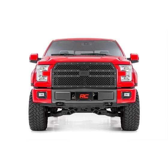 Mesh Grille Ford F-150 2WD/4WD (2015-2017) (70191) 2