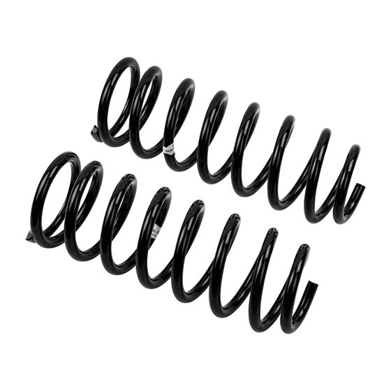 Coil Spring Set (3049) 2