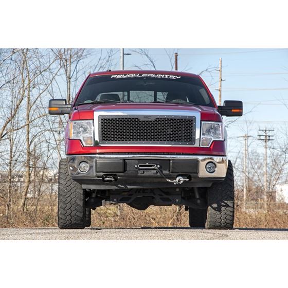 Mesh Grille Ford F-150 2WD/4WD (2009-2014) (70229) 2