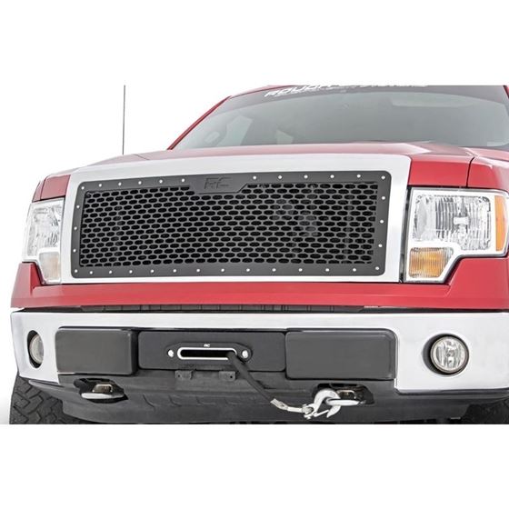 Ford Mesh Grille 0914 F150 2