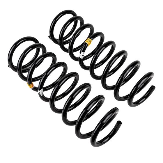 Coil Spring Set (2423) 2