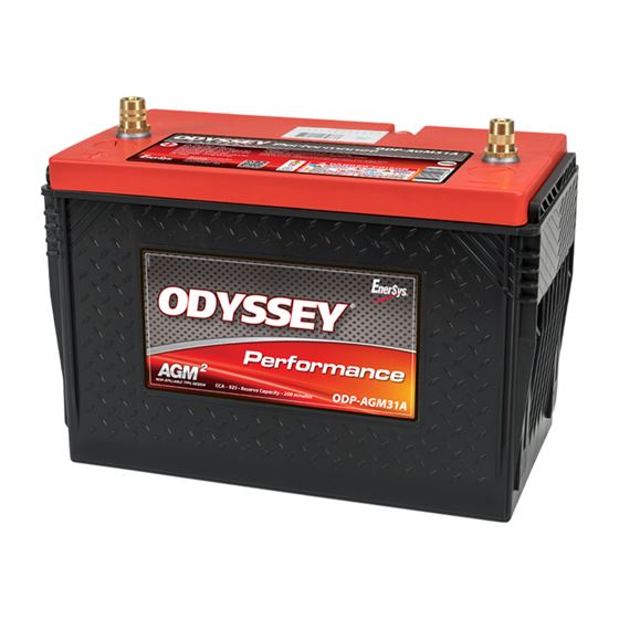 Performance Battery 12V 100Ah (ODP-AGM31A) 2
