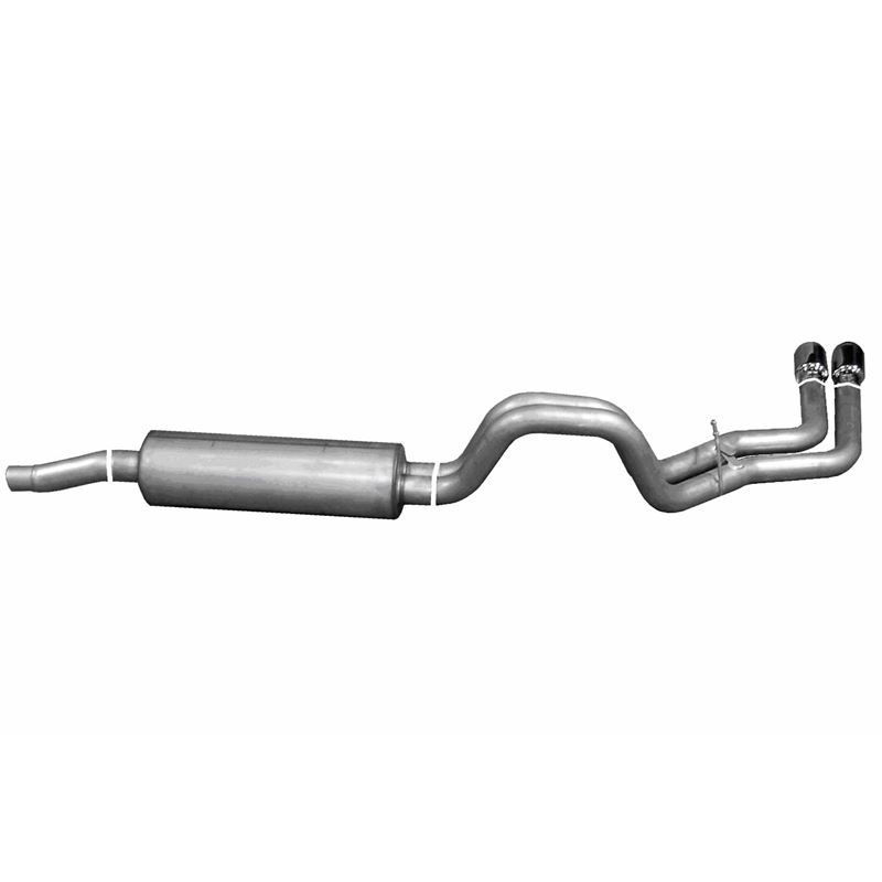 Cat Back Dual Sport Exhaust System, Stainless 6620