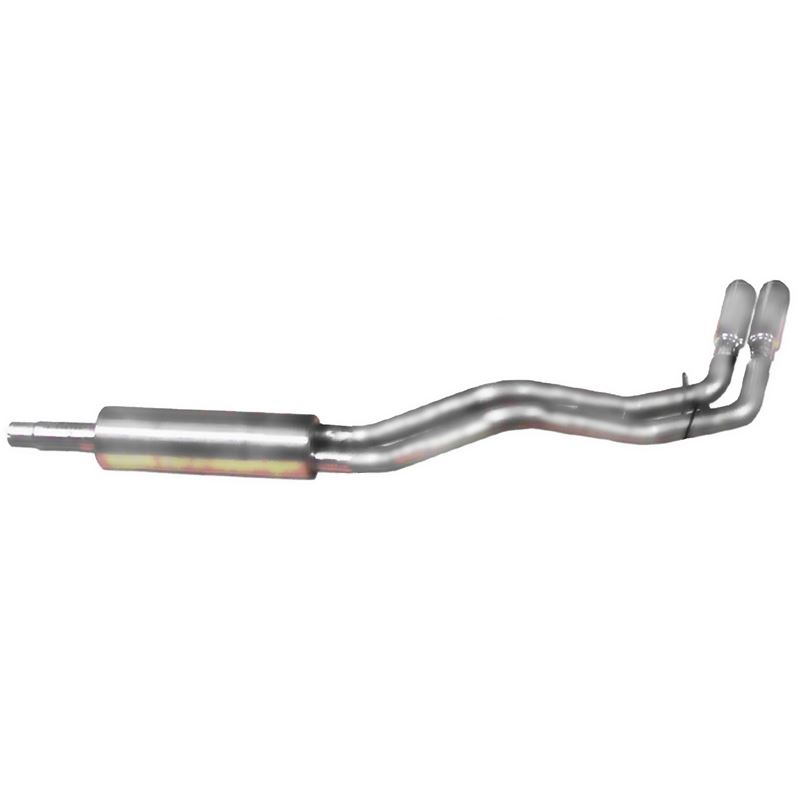 Cat Back Dual Sport Exhaust System, Aluminized 610