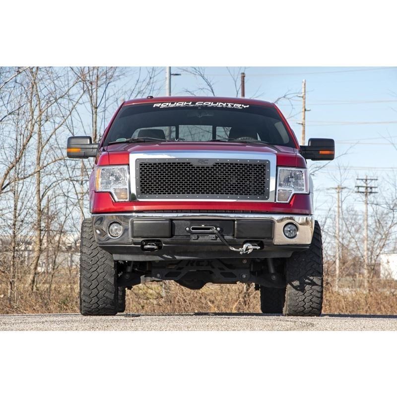 Ford Mesh Grille 09-14 F-150