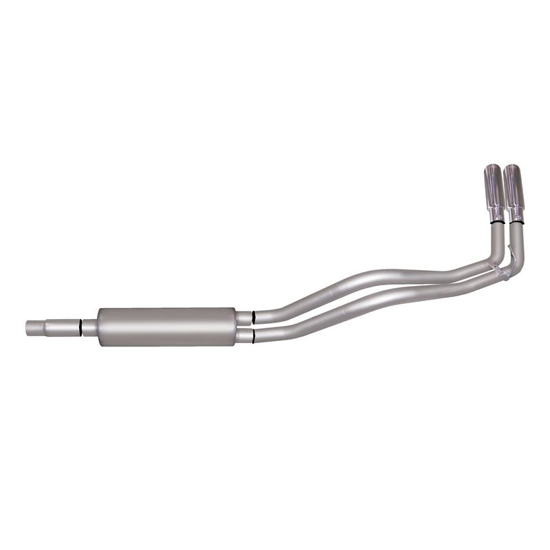 Cat Back Dual Sport Exhaust System, Aluminized 660