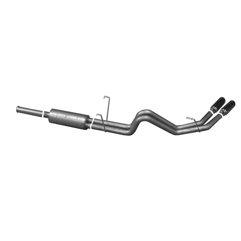 Cat Back Dual Sport Exhaust System, Aluminized 710