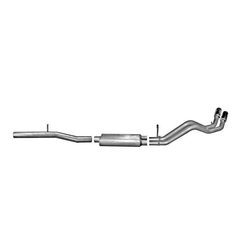 Cat Back Dual Sport Exhaust System, Stainless 6567