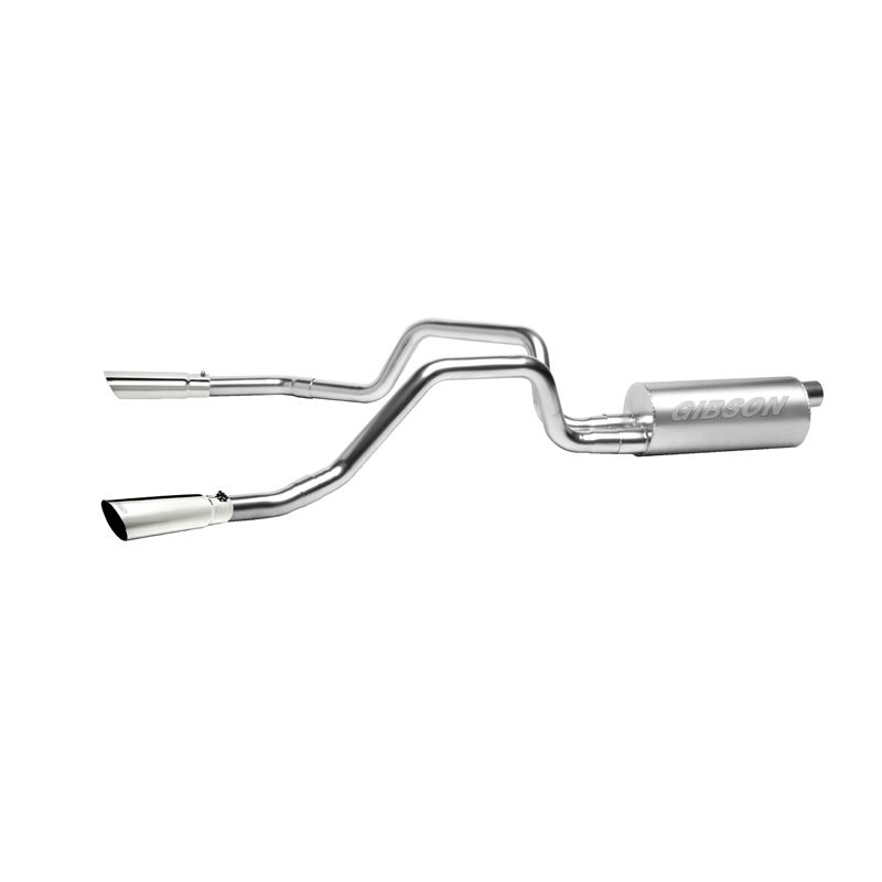 Cat Back Dual Split Exhaust System, Stainless 6953