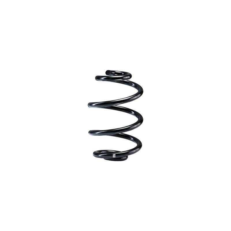 Single Rear Spring (R10298)