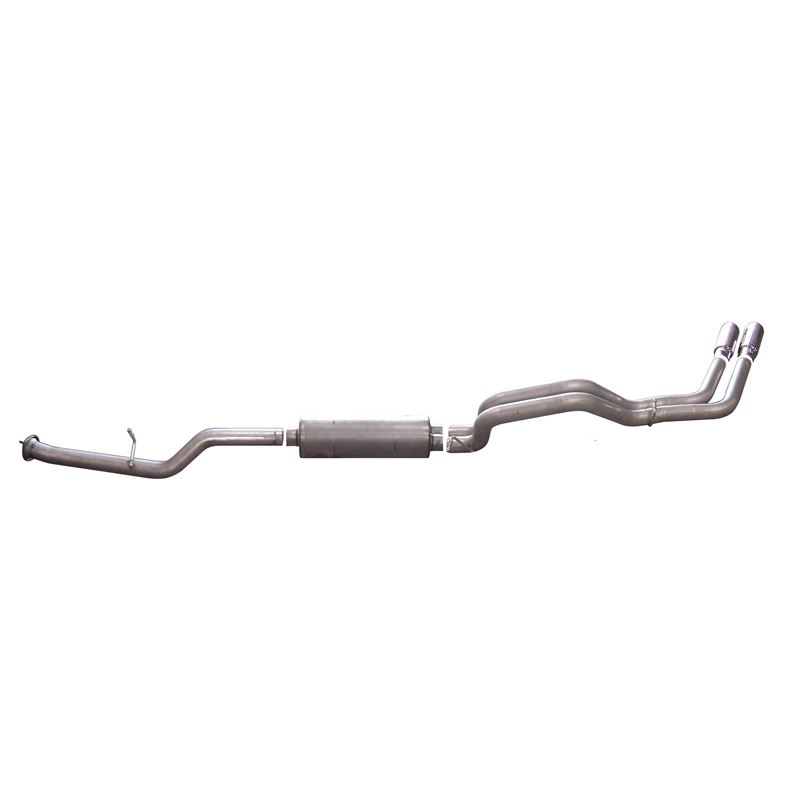Cat Back Dual Sport Exhaust System, Stainless 6561