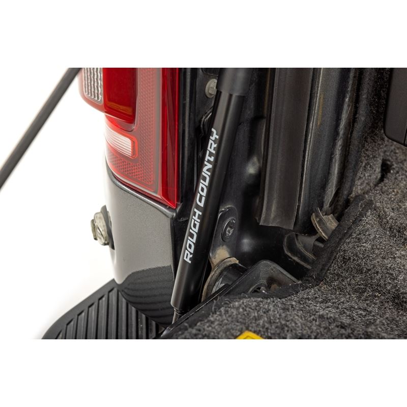 Tailgate Assist - Ford F-150 (2015-2023) (73210)