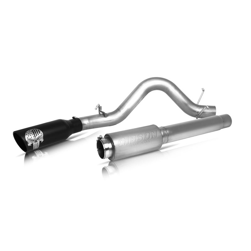Patriot Skull Cat-Back Single Exhaust System, Stai