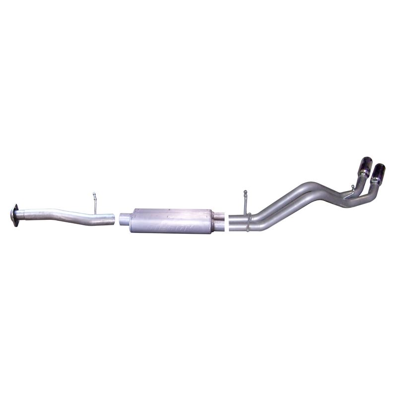 Cat Back Dual Sport Exhaust System, Stainless 6563