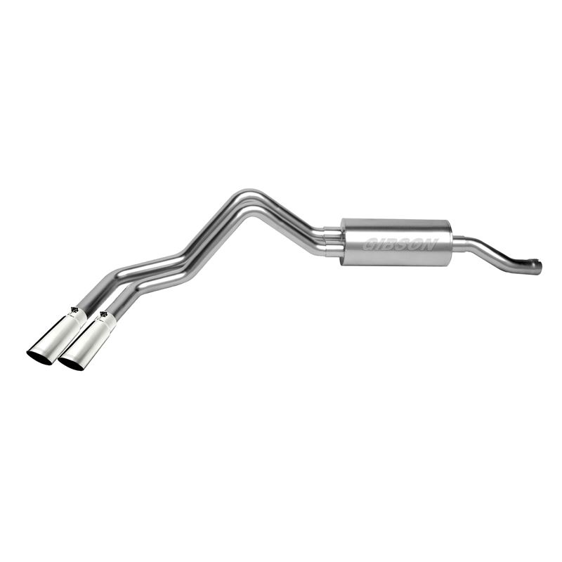 Cat Back Dual Sport Exhaust System, Stainless 6530
