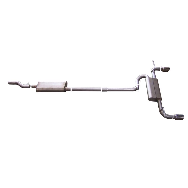 Cat Back Dual Split Exhaust System, Stainless 6196