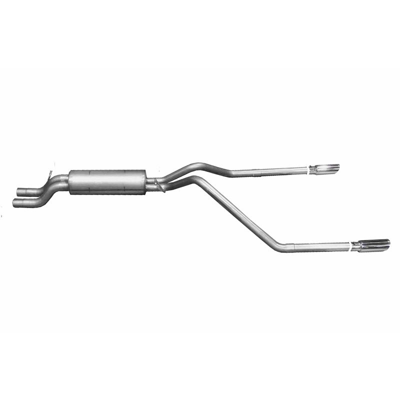Cat Back Dual Split Exhaust System, Stainless 6555