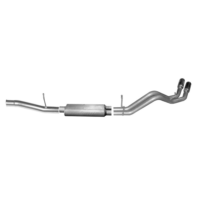 Cat Back Dual Sport Exhaust System, Aluminized 566