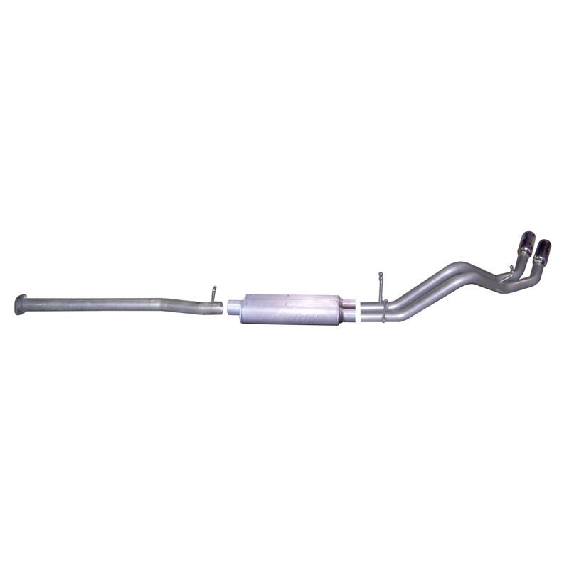 Cat Back Dual Sport Exhaust System, Stainless 6562