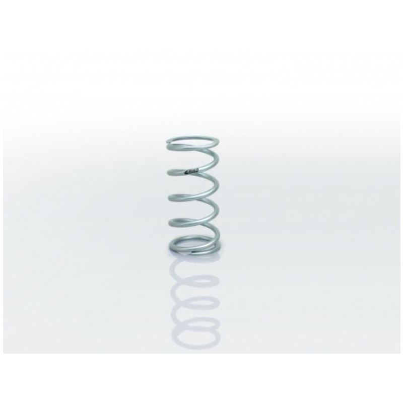 SILVER COILOVER SPRING - 2.50" I.D.