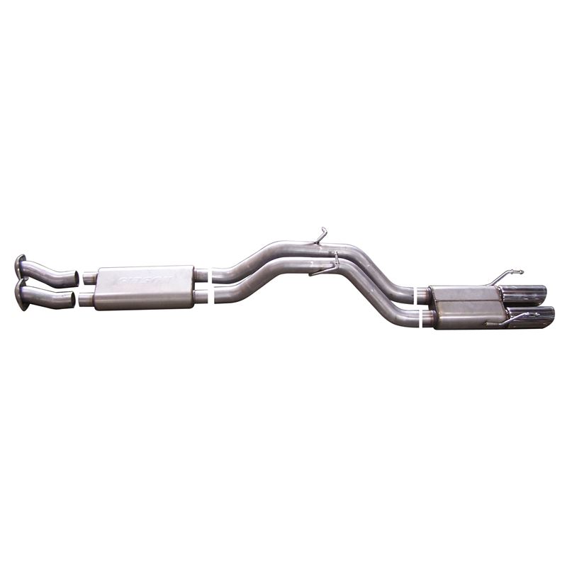 Cat Back Dual Exhaust System, Stainless 617405