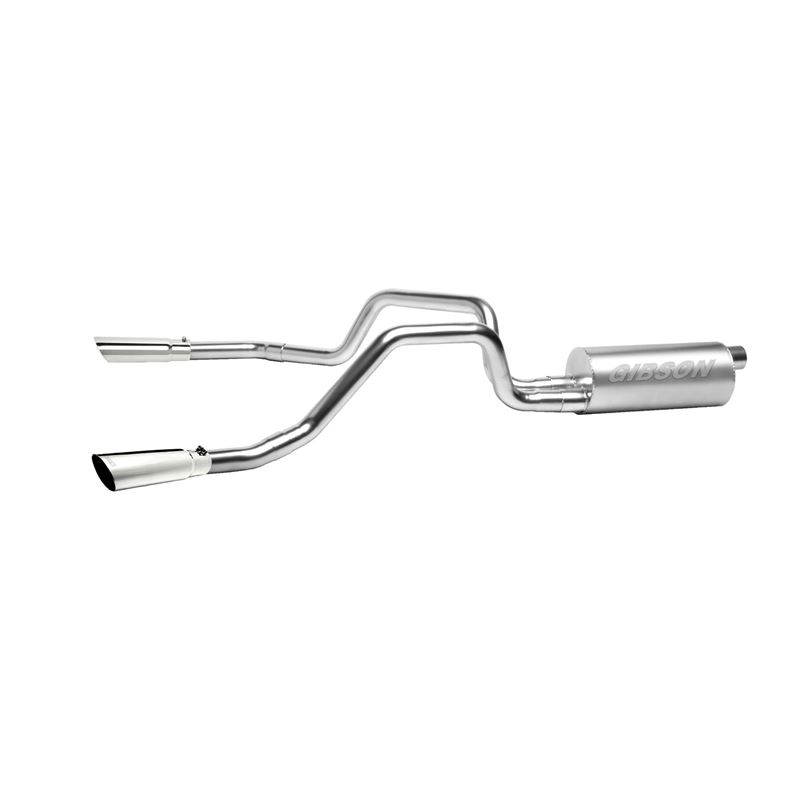 Cat-Back Dual Split Exhaust System, Stainless