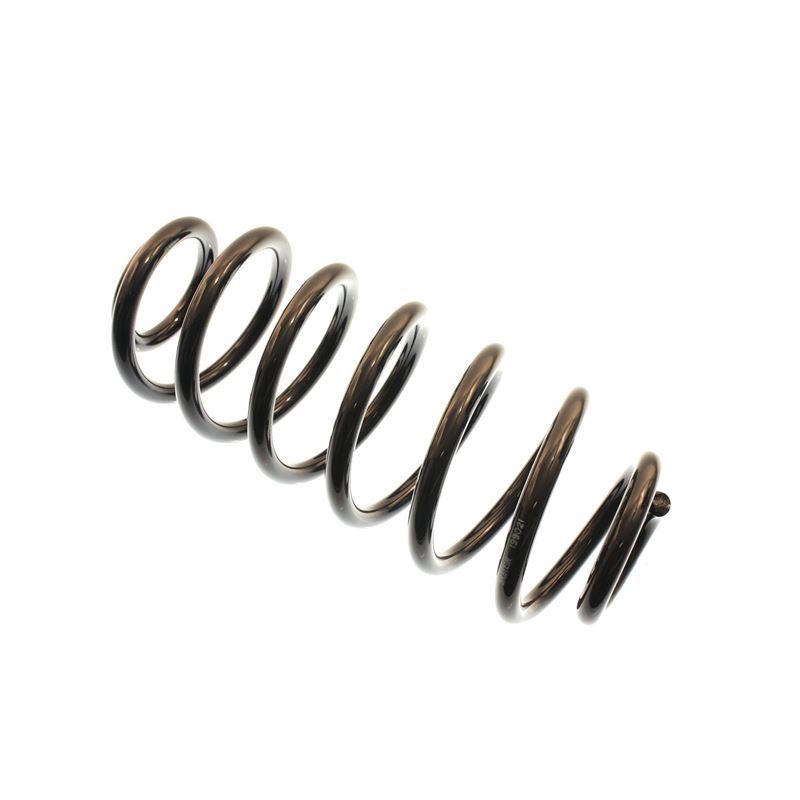 B3 OE Replacement - Coil Spring (199021)