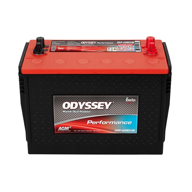 Performance Battery 12V 100Ah (ODP-AGM31M)
